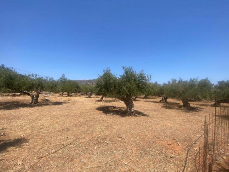 Drapanos Kreta, Drapanos: Grundstück zu verkaufen im Dorf Drapanos Grundstück kaufen